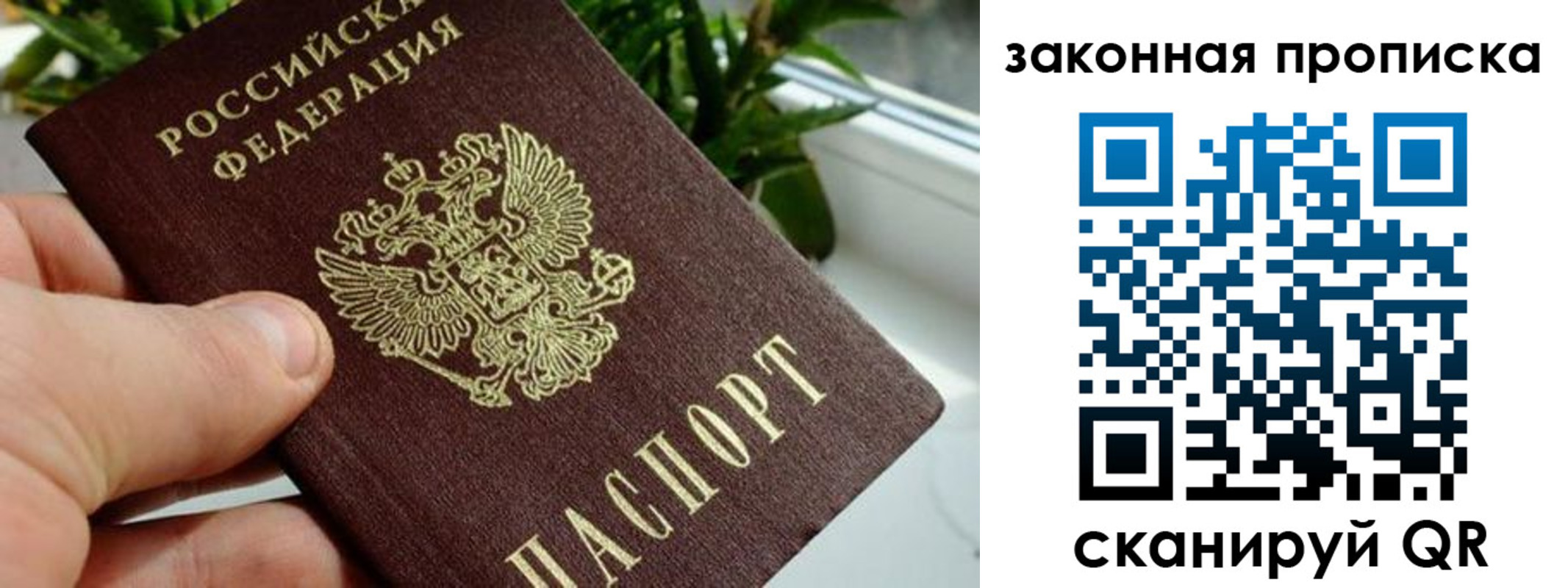 временная регистрация поиск в Пскове